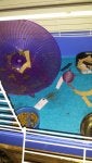 20150303_071549_1425387702232.jpg